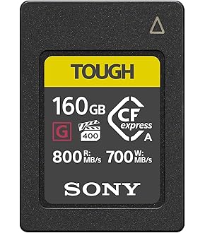 SONY TOUGH 256GB SDXCカード 2枚セット Amazon.com: Sony Tough G Series SDXC UHS-II Memory Card
